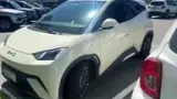BYD Dolphin Mini - Miniatura 4