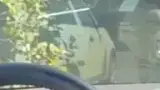 BYD Dolphin Mini - Miniatura 5