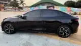 BYD Seal - Miniatura 9