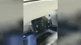 BYD Dolphin Mini - Miniatura 4