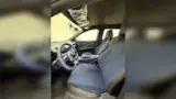 BYD Dolphin Mini - Miniatura 10