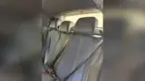 BYD Dolphin Mini - Miniatura 11