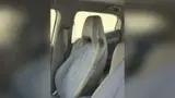 BYD Dolphin Mini - Miniatura 18