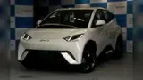 BYD Dolphin Mini - Miniatura 6