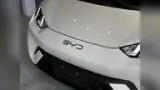 BYD Dolphin Mini - Miniatura 7