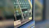 BYD Dolphin - Miniatura 17