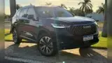 GWM Haval H6 Plug-in Hybrid - Miniatura 15