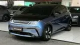 BYD Dolphin - Miniatura 1