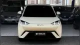 BYD Dolphin - Miniatura 2