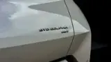 BYD Dolphin - Miniatura 6