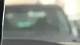 BYD Dolphin - Miniatura 13