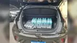 BYD Dolphin - Miniatura 11