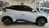 BYD Dolphin Mini - Miniatura 6