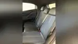 BYD Dolphin Mini - Miniatura 12