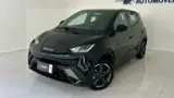 BYD Dolphin Mini - Miniatura 3