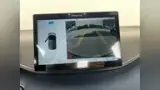 BYD Dolphin Mini - Miniatura 11