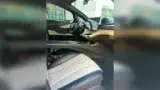 BYD Dolphin - Miniatura 13