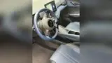 BYD Dolphin Mini - Miniatura 7