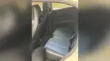 BYD Dolphin Mini - Miniatura 10