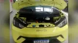 BYD Dolphin Mini - Miniatura 5