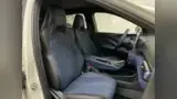 BYD Dolphin Mini - Miniatura 13