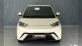 BYD Dolphin Mini - Miniatura 2