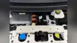 BYD Dolphin Mini - Miniatura 15