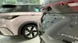 BYD Dolphin Mini - Miniatura 5