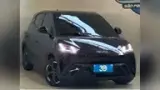 BYD Dolphin Mini - Miniatura 2