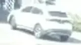 BYD Dolphin Mini - Miniatura 7