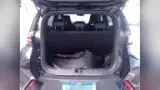 BYD Dolphin Mini - Miniatura 8
