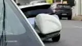 BYD Dolphin Mini - Miniatura 4