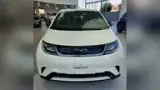 BYD Dolphin - Miniatura 1