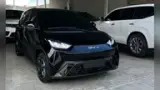 BYD Dolphin Mini - Miniatura 1