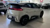 BYD Dolphin Mini - Miniatura 2