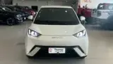 BYD Dolphin Mini - Miniatura 3