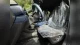 BYD Dolphin Mini - Miniatura 7