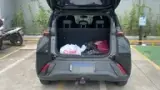 BYD Dolphin Mini - Miniatura 4