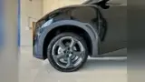 BYD Dolphin Mini - Miniatura 2