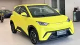 BYD Dolphin Mini - Miniatura 1