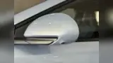 BYD Dolphin Mini - Miniatura 4
