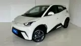 BYD Dolphin Mini - Miniatura 1