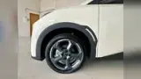 BYD Dolphin Mini - Miniatura 2
