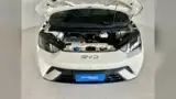 BYD Dolphin Mini - Miniatura 6
