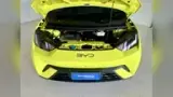 BYD Dolphin Mini - Miniatura 6