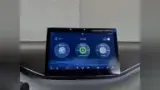 BYD Dolphin Mini - Miniatura 18
