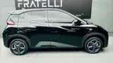 BYD Dolphin Mini - Miniatura 12