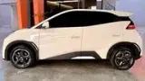 BYD Dolphin Mini - Miniatura 1