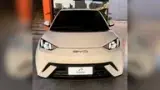 BYD Dolphin Mini - Miniatura 4