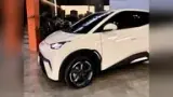 BYD Dolphin Mini - Miniatura 6